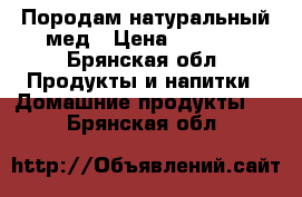 Породам натуральный мед › Цена ­ 1 000 - Брянская обл. Продукты и напитки » Домашние продукты   . Брянская обл.